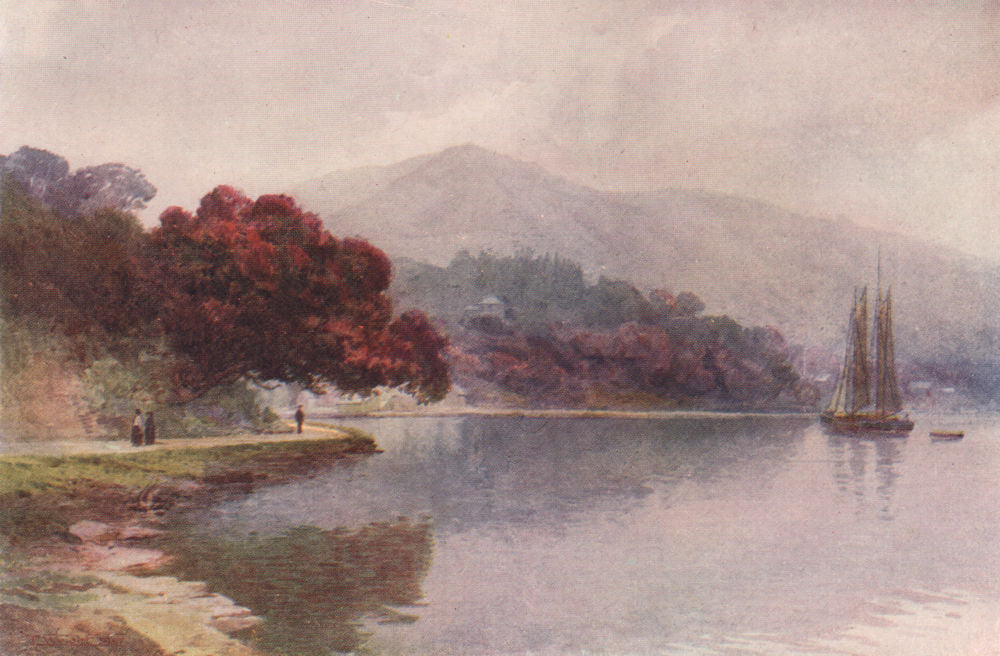WHANGAROA HARBOUR. Pohutukawa in bloom. Frank Wright. New Zealand 1908 print